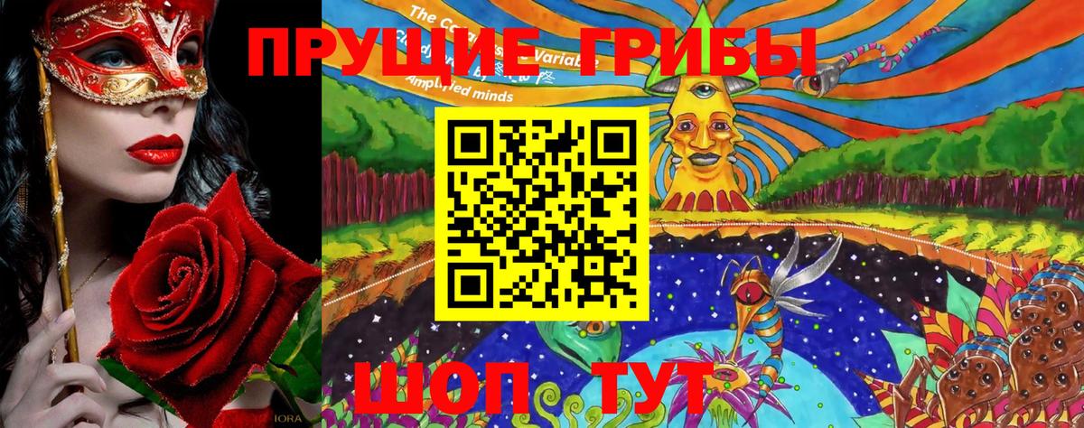 Торжок  Псилоцибиновые грибы прущие грибы  Вход с VPN 